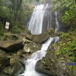 El-Yunque-National-Forest